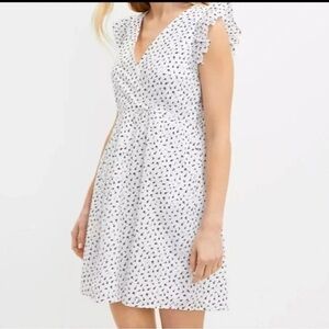 LOFT Woman’s Dress Eyelet Black Floral Pattern